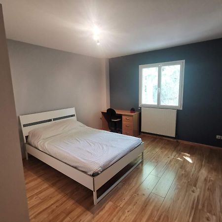 Chambre D'Hote Dans Une Maison Avec Parking Privee サン・テティエンヌ エクステリア 写真